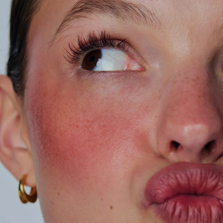Toasted Teddy - Bronze Terracotta Pocket Blush - GLAM MODA64