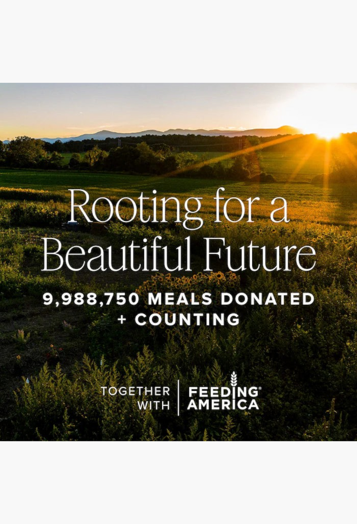 GLAM MODA graphic featuring a golden field landscape with text about donating meals to support a beautiful future.